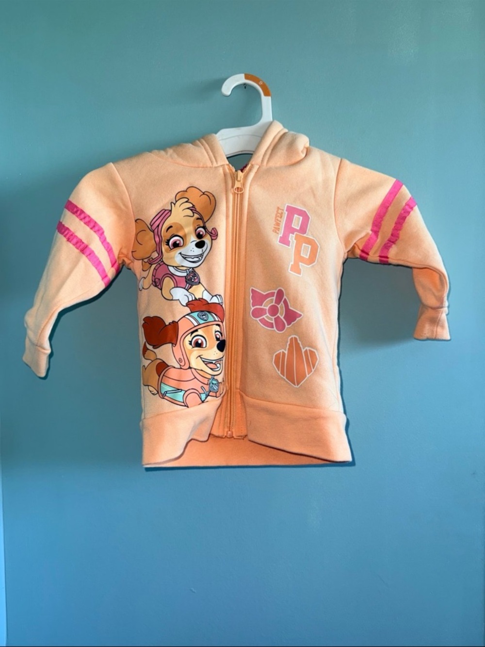 Paw patrol hoodie